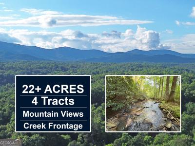 1720 Mt Springer Road, Ellijay GA 30540