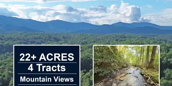 1720 Mt Springer Road, Ellijay GA 30540