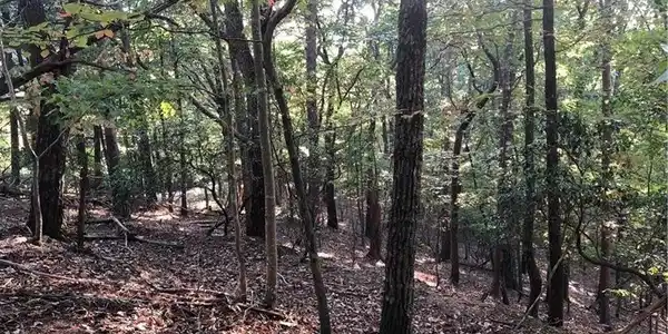 Lot 790 Fairway Ct