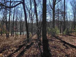 Lot 16 Westwood Cir Lot#