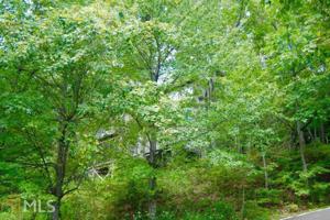 1171 Deer Run Ridge
