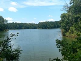Lot 34&35 Beaverdam Dr