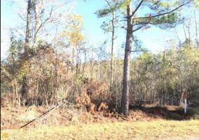 LOT 5 Scenic Route