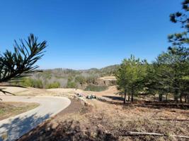28 Southern Trace