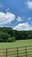 LOT 4 Jersey Covington Rd. (2 Acres)