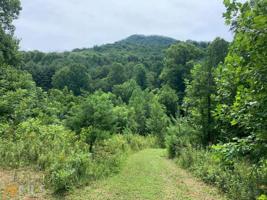 COLD BRANCH RD N Cold Branch Road