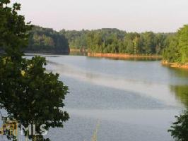 120 120 War Eagle Dr