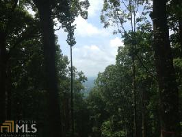 61 61 Mountainside Dr Lot LT 61