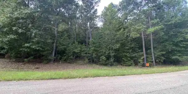 1008 Fleming Lake Court