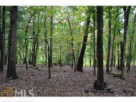 174  Laceola Rd Lot 174