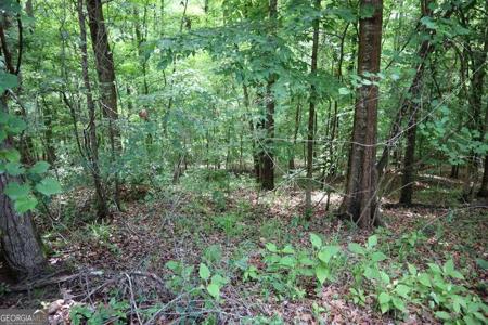 LT.102 Village Court SW, Sparta GA 31087