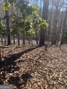 806 DIXON Drive, Gainesville GA 30501