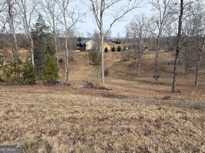 Lot 29 Hogue Way, Blairsville GA 30512