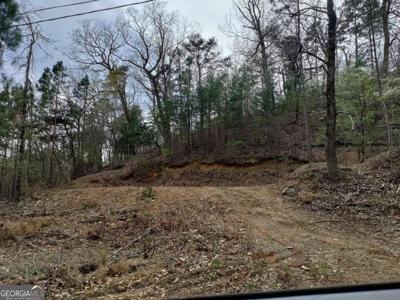 1247 Onyx Court