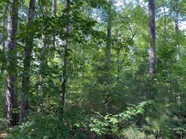 LOT 51 Meadow Brooke