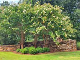 306 Canterbury Drive