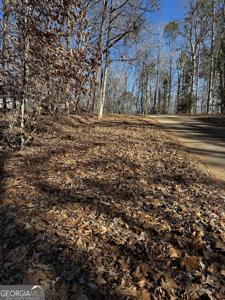 59 Pine Trail
