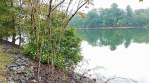 Lot 13 Stonecrest Cir