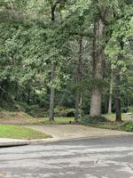 8295 Yale Drive