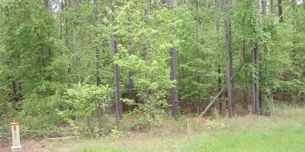 60  Lighthouse Pt Lot B 60