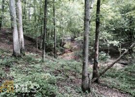 185 185 Edgewater Trl S Lot 20
