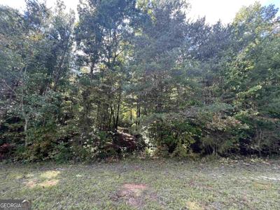 LOT 1 N Laceola Road