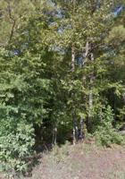 122 Sugar Woods Drive