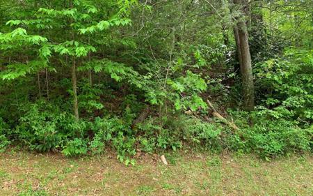 0 Rivendell Rivendell