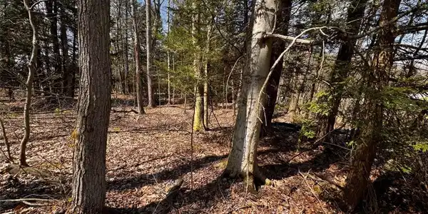 Lot 4 LAKE & DANNER Road