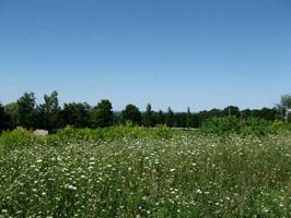 3681 DOGLEG Trail