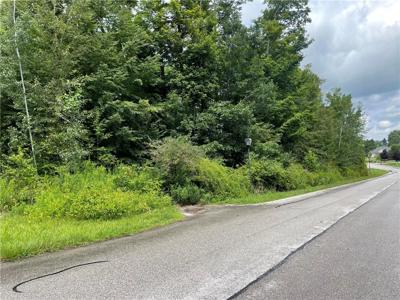 PONDEROSA Drive