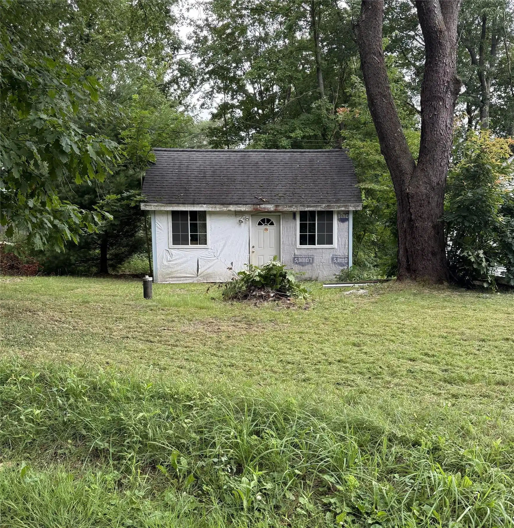 Image 1: 36264 Taylor Front