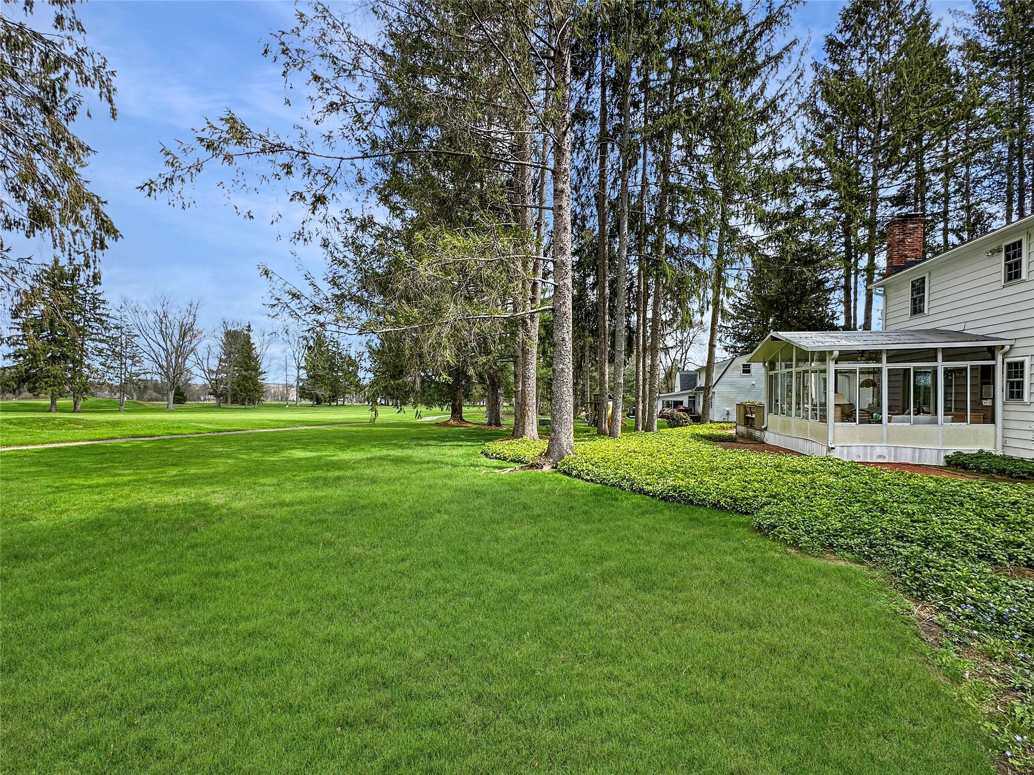 Image 2: Back Yard