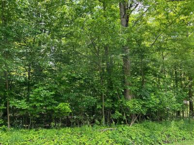 000 LAKEVIEW Road