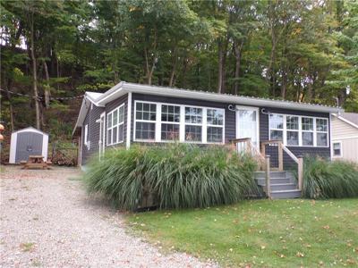 81 ELK CREEK Road