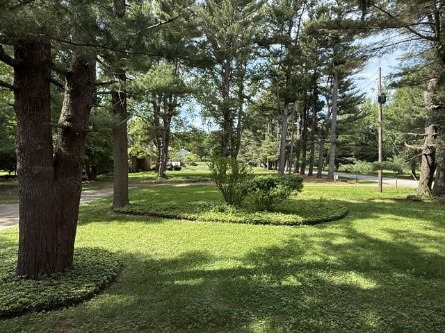 Image 4: View out the North Window of the Living Room