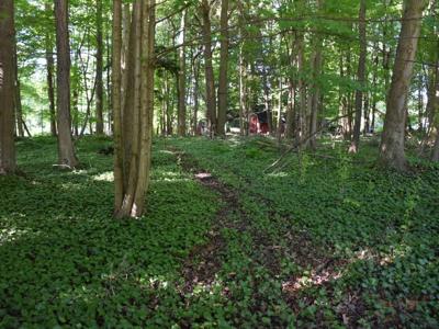Lot 228 EDGEWOOD Drive