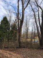 Lot 9-10 SUNSET ST. Street