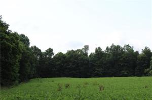 0 HOLLIDAY Road