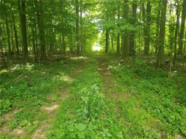 590 EAGLEY Road