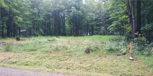 2061 CHIPPEWA Road