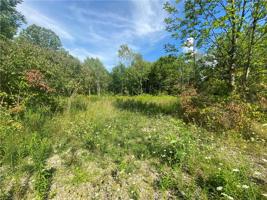 12646 FLORENCE/SHERRI Drive
