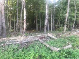 GIBSON HILL Road