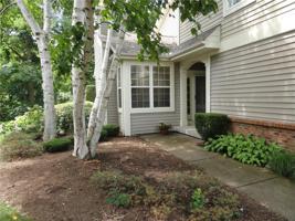 250 STONEGATE Drive