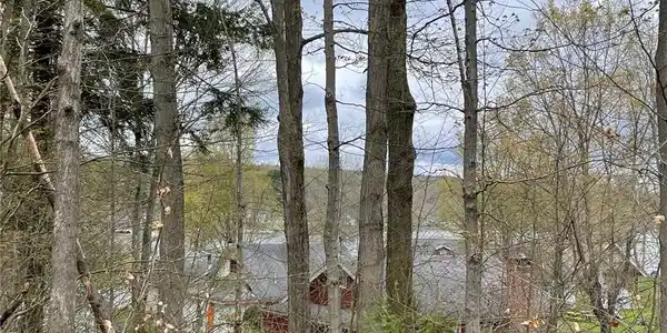 Lot 20 & 33 HICKORY & HEMLOCK S. Streets