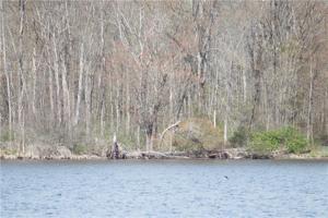 Lot 66 & 67 FISH COMMISSION Road