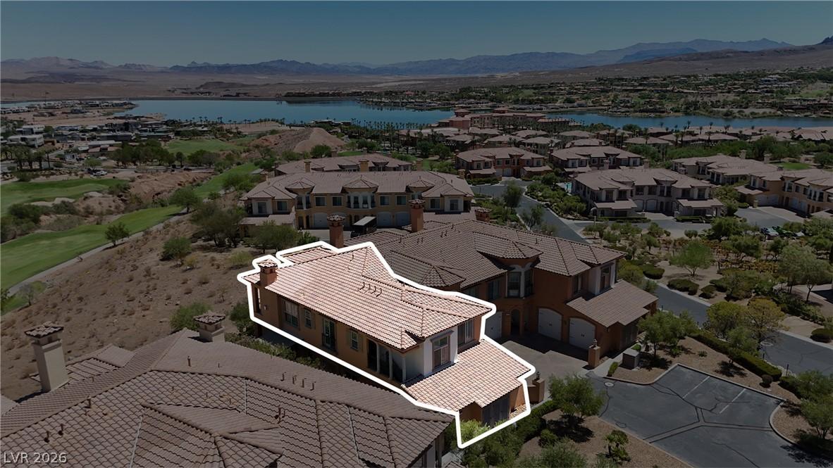 Image 1: An aerial perspective reveals a desert oasis with