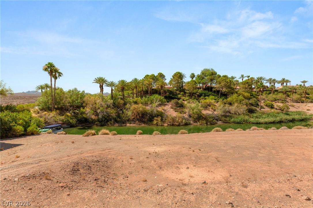Image 3: A tranquil desert oasis with a serene pond, lush p
