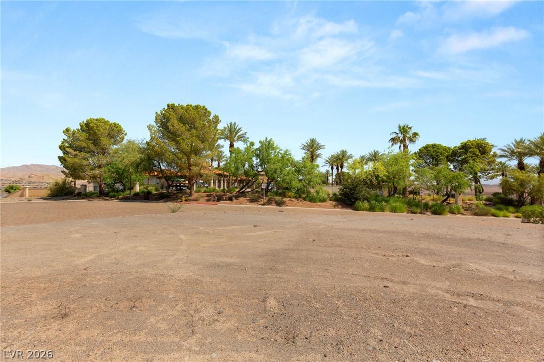 Image 4: Mature trees and palms create a shaded oasis again