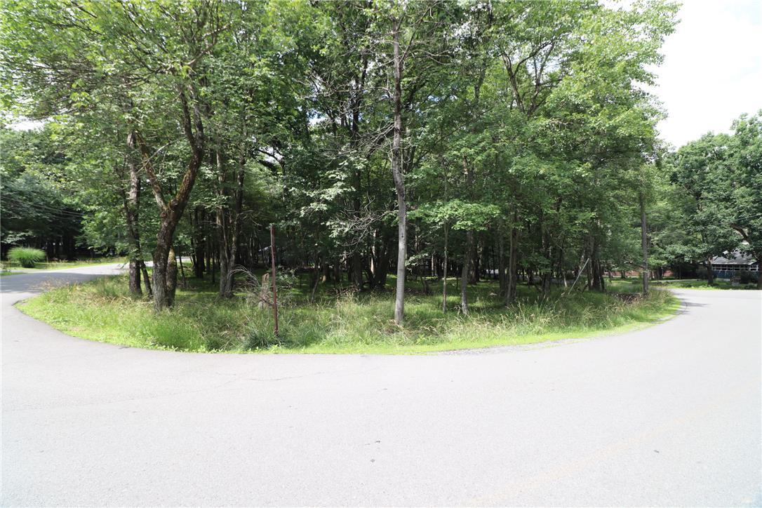 Image 2: Mature trees and lush greenery define this appeali